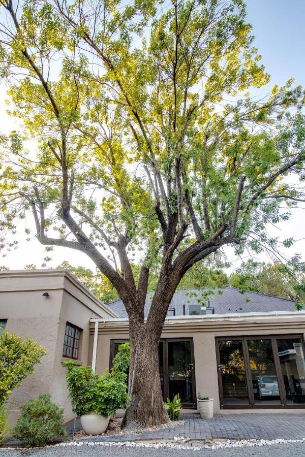 The Nightingale Guesthouse Bloemfontein Exterior foto